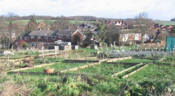 Puckeridge 080